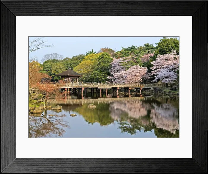 Framed Print : Sagi-ike Pond and Ukimido Pavilion, Cherry Blossoms, Nara, Japan Framed Print : Sagi-ike Pond and Ukimido Pavilion, Cherry Blossoms, Nara, Japan