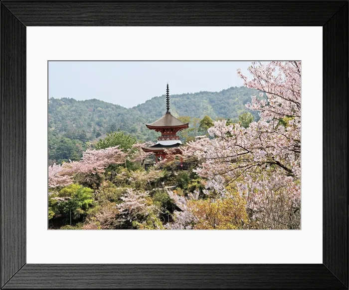 Framed Print : Two-storied Tahoto Pagoda surrounded by cherry blossoms, Miyajima island, off Hiroshima, Japan Framed Print : Two-storied Tahoto Pagoda surrounded by cherry blossoms, Miyajima island, off Hiroshima, Japan