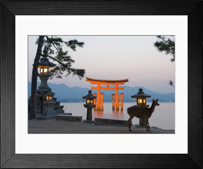 Framed Print : Stone lanterns and fallow deer in front of the iconic torii at the Itsukushima Shrine, on Miyajima island, hiroshima Prefecture, Japan Framed Print : Stone lanterns and fallow deer in front of the iconic torii at the Itsukushima Shrine, on Miyajima island, hiroshima Prefecture, Japan