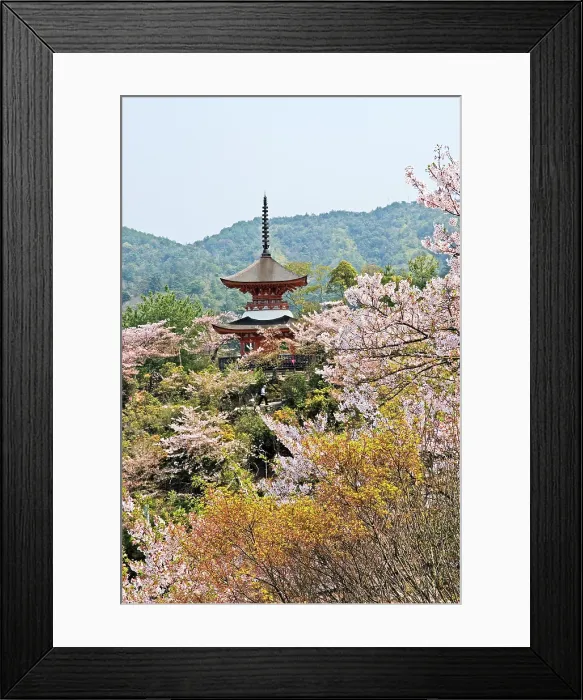 Framed Print : Two-storied Tahoto Pagoda surrounded by cherry blossoms, Miyajima island, off Hiroshima, Japan Framed Print : Two-storied Tahoto Pagoda surrounded by cherry blossoms, Miyajima island, off Hiroshima, Japan