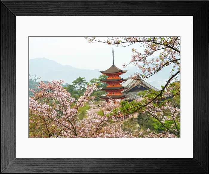 Framed Print : Five-Tiered Pagoda surrounded by cherry blossoms, Miyajima island, off Hiroshima, Japan Framed Print : Five-Tiered Pagoda surrounded by cherry blossoms, Miyajima island, off Hiroshima, Japan