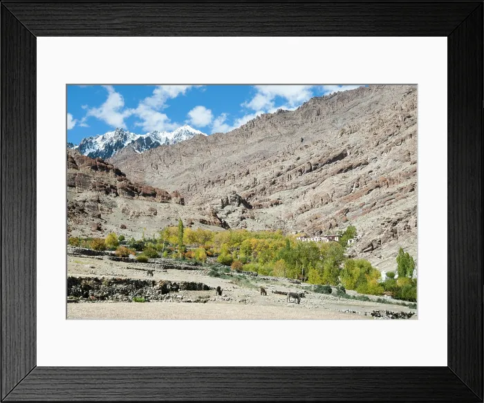 Framed Print : Around the Tibetan Buddhist Hemis Monastery, Ladakh region, state of Jammu and Kashmir, India, Asia Framed Print : Around the Tibetan Buddhist Hemis Monastery, Ladakh region, state of Jammu and Kashmir, India, Asia