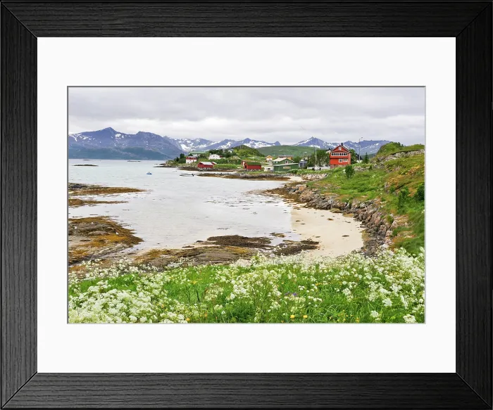 Framed Print : Sommaroy, County of Troms, Norway, Northern Europe Framed Print : Sommaroy, County of Troms, Norway, Northern Europe