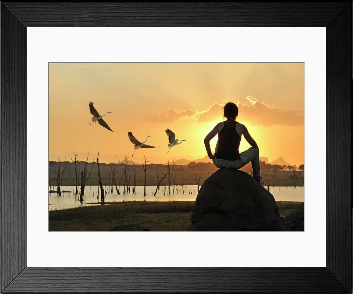 Framed Print : Young woman admiring a flight of grey heron at sunset by the Senanayake Samudraya Lake, Gal Oya National Park, Sri Lanka, Indian subcontinent, South Asia Framed Print : Young woman admiring a flight of grey heron at sunset by the Senanayake Samudraya Lake, Gal Oya National Park, Sri Lanka, Indian subcontinent, South Asia
