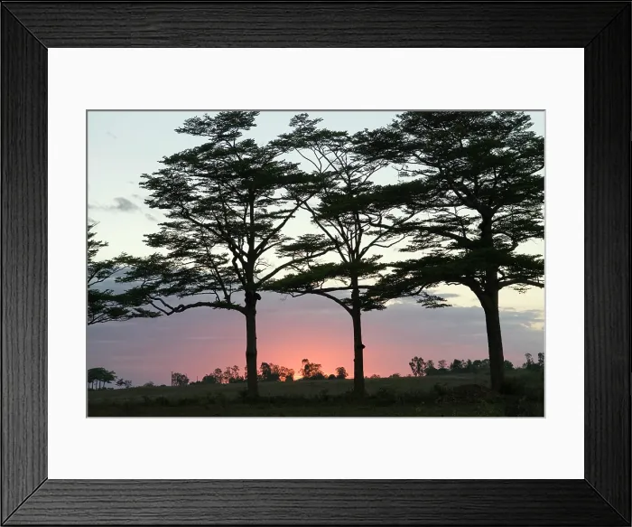 Framed Print : Sunset, Nosy Be island, Republic of Madagascar, Indian Ocean Framed Print : Sunset, Nosy Be island, Republic of Madagascar, Indian Ocean