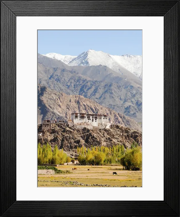 Framed Print : Indus River valley with the Tibetan Buddhist Stakna Monastery in the background, near Leh, Ladakh region, state of Jammu and Kashmir, India, Asia Framed Print : Indus River valley with the Tibetan Buddhist Stakna Monastery in the background, near Leh, Ladakh region, state of Jammu and Kashmir, India, Asia