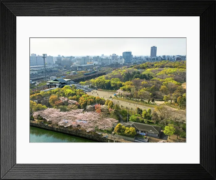 Framed Print : Osaka Castle Park, Osaka, Honshu island, Japan, Asia Framed Print : Osaka Castle Park, Osaka, Honshu island, Japan, Asia