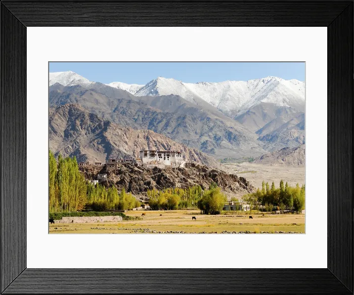 Framed Print : Indus River valley with the Tibetan Buddhist Stakna Monastery in the background, near Leh, Ladakh region, state of Jammu and Kashmir, India, Asia Framed Print : Indus River valley with the Tibetan Buddhist Stakna Monastery in the background, near Leh, Ladakh region, state of Jammu and Kashmir, India, Asia