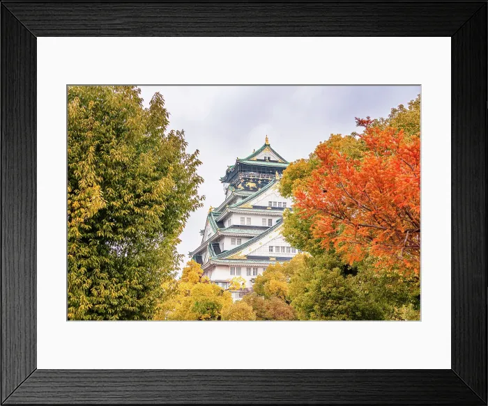 Framed Print : Autumnal Foliage framing the Osaka Castle Main Tower in Japan Framed Print : Autumnal Foliage framing the Osaka Castle Main Tower in Japan