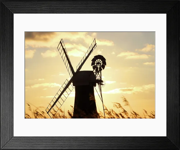 Framed Print : St. Benet's Mill, Norfolk Broads, England Framed Print : St. Benet's Mill, Norfolk Broads, England