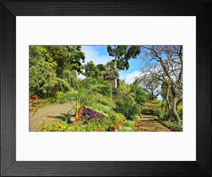 Framed Print : Madeira Botanical Garden, Funchal, Madeira Framed Print : Madeira Botanical Garden, Funchal, Madeira