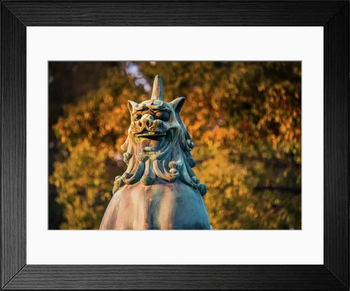 Framed Print : Close up of a japanese Lions statue against blurred autumn foliage, Hiroshima, Japan Framed Print : Close up of a japanese Lions statue against blurred autumn foliage, Hiroshima, Japan