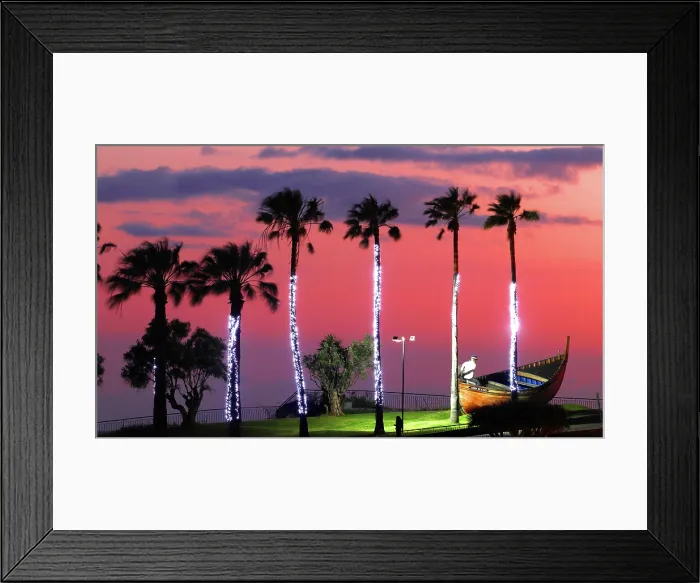 Framed Print : Illuminated palm trees, Camara de Lobos, Madeira Framed Print : Illuminated palm trees, Camara de Lobos, Madeira
