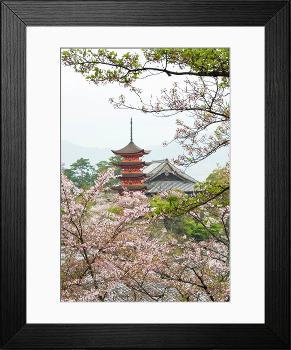 Framed Print : Five-Tiered Pagoda surrounded by cherry blossoms, Miyajima island, off Hiroshima, Japan Framed Print : Five-Tiered Pagoda surrounded by cherry blossoms, Miyajima island, off Hiroshima, Japan