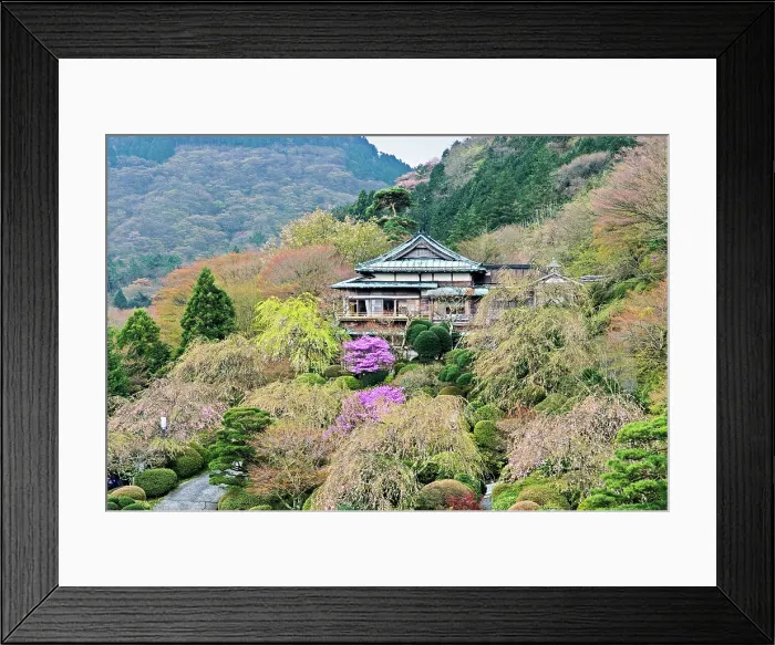 Framed Print : Gardens of Mikawaya Ryokan, Hakone, Japan Framed Print : Gardens of Mikawaya Ryokan, Hakone, Japan