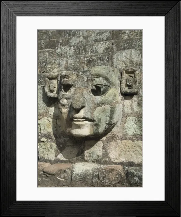 Framed Print : Carved stone face on the steps of the East Court, Copan Archaeological Park Framed Print : Carved stone face on the steps of the East Court, Copan Archaeological Park