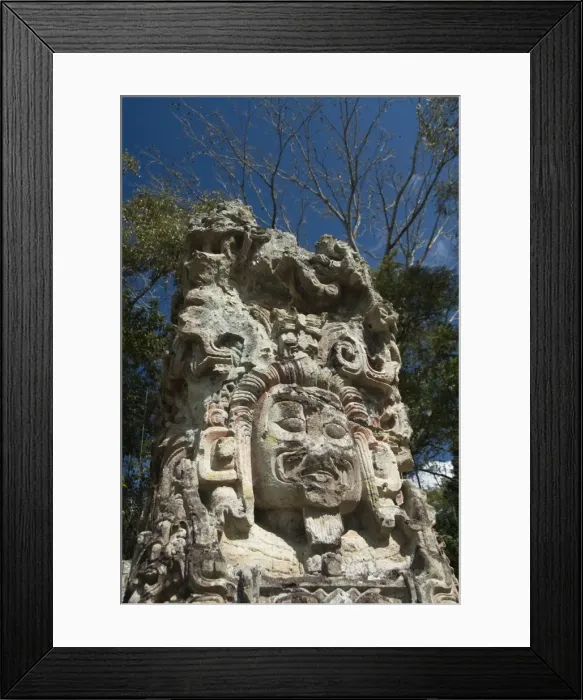 Framed Print : Stela D dating from 736 AD, Copan Archaeological Park, Copan, UNESCO World Heritage Site Framed Print : Stela D dating from 736 AD, Copan Archaeological Park, Copan, UNESCO World Heritage Site
