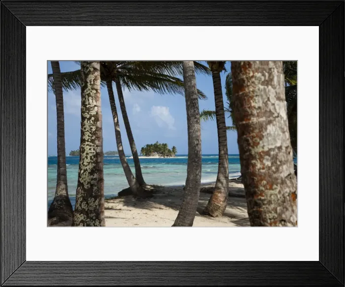 Framed Print : Islands in the San Blas archipelago in the Caribbean Sea, seen through palm trees on Dog Island Framed Print : Islands in the San Blas archipelago in the Caribbean Sea, seen through palm trees on Dog Island