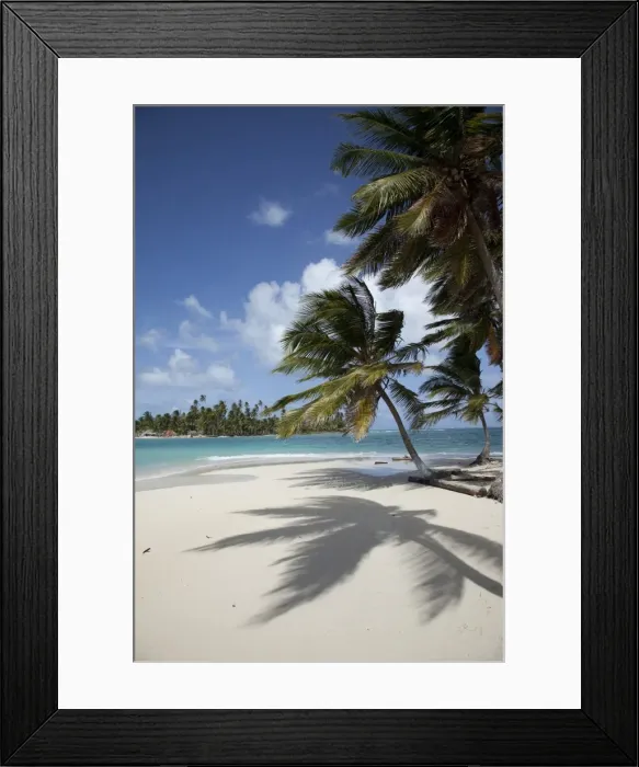 Framed Print : Sandy beach and palm trees on Dog Island, San Blas Islands, Panama, Central America Framed Print : Sandy beach and palm trees on Dog Island, San Blas Islands, Panama, Central America