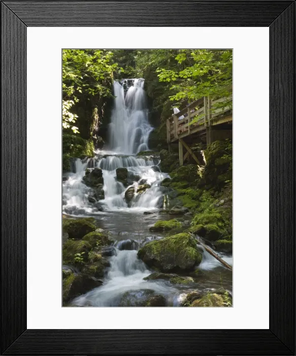 Framed Print : Dickson Falls in Fundy National Park, New Brunswick, Canada, North America Framed Print : Dickson Falls in Fundy National Park, New Brunswick, Canada, North America