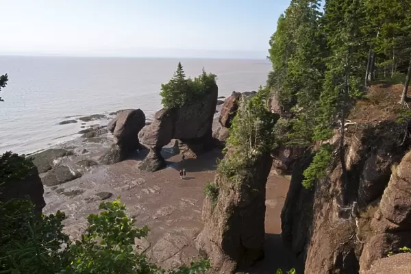 Hopewell Rocks and The Ocean Tidal Exploration Site, New Brunswick, Canada, North America