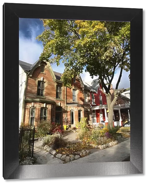 Victorian houses in the fall, Toronto, Ontario, Canada, North America