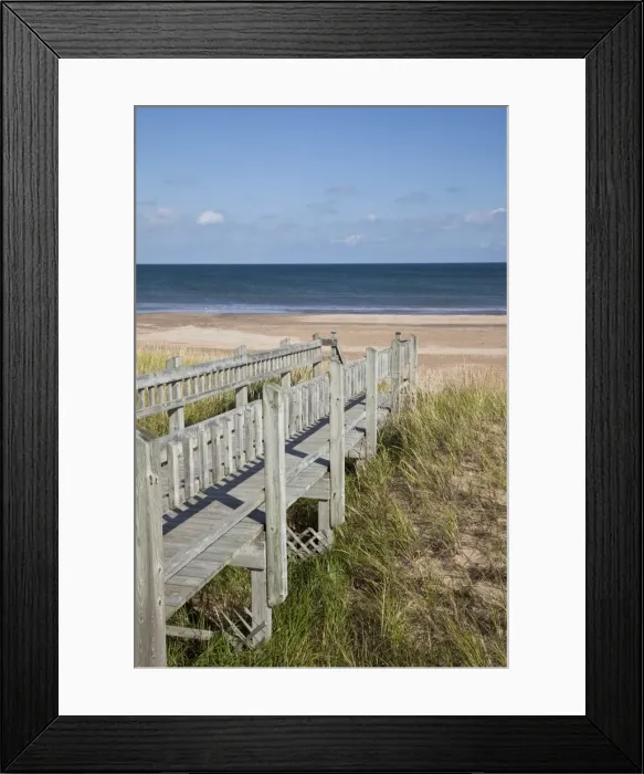 Framed Print : Walkway over fragile ecology at beach on island in the Gulf of St. Lawrence Framed Print : Walkway over fragile ecology at beach on island in the Gulf of St. Lawrence