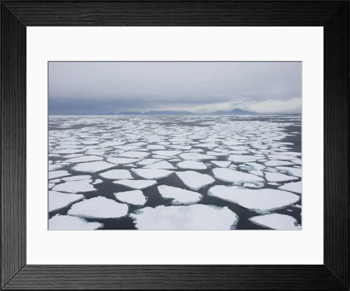 Framed Print : Ice floe, drift ice, Greenland, Arctic, Polar Regions Framed Print : Ice floe, drift ice, Greenland, Arctic, Polar Regions