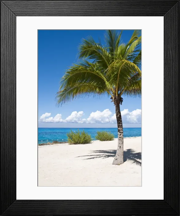 Framed Print : Beach at Chankanaab Park, Isla de Cozumel (Cozumel Island), Cozumel, off the Yucatan Framed Print : Beach at Chankanaab Park, Isla de Cozumel (Cozumel Island), Cozumel, off the Yucatan
