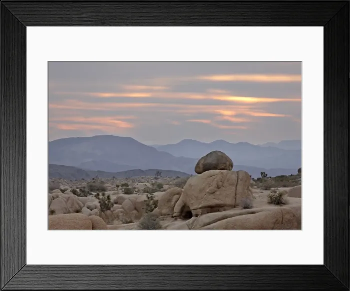 Framed Print : Cloudy sunrise, Joshua Tree National Park, California, United States of America Framed Print : Cloudy sunrise, Joshua Tree National Park, California, United States of America
