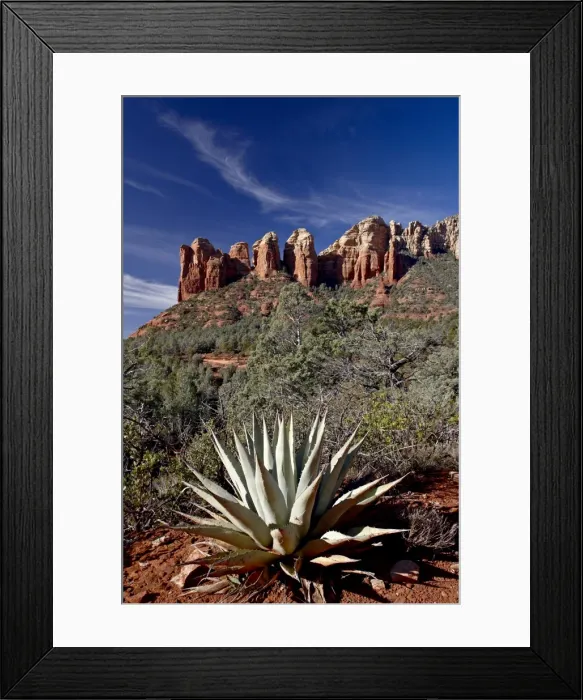 Framed Print : Red rock formations and an agave plant, Coconino National Forest, Arizona Framed Print : Red rock formations and an agave plant, Coconino National Forest, Arizona
