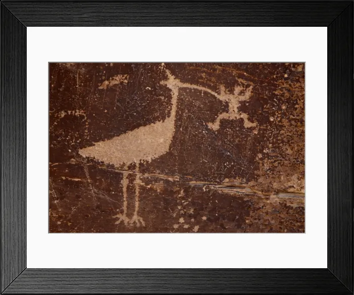 Framed Print : Bird petroglyph, Petrified Forest National Park, Arizona, United States of America Framed Print : Bird petroglyph, Petrified Forest National Park, Arizona, United States of America