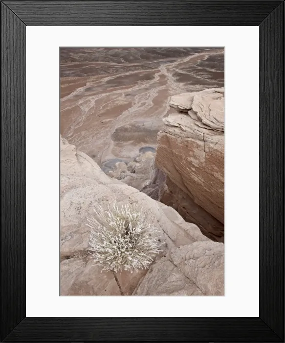 Framed Print : Looking down from the top of Blue Mesa into the badlands, Petrified Forest National Park Framed Print : Looking down from the top of Blue Mesa into the badlands, Petrified Forest National Park