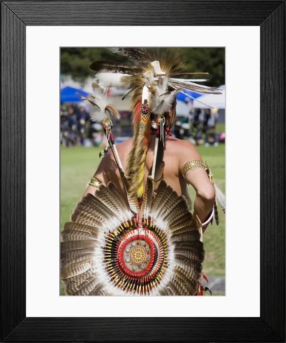 Framed Print : Dancer, Annual Indian Culture Festival in Balboa Park, San Diego, California Framed Print : Dancer, Annual Indian Culture Festival in Balboa Park, San Diego, California