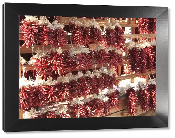 Dried red chillies, Chili Ristras, Santa Fe, New Mexico, United States of America