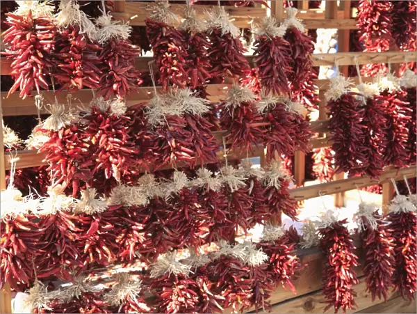 Dried red chillies, Chili Ristras, Santa Fe, New Mexico, United States of America