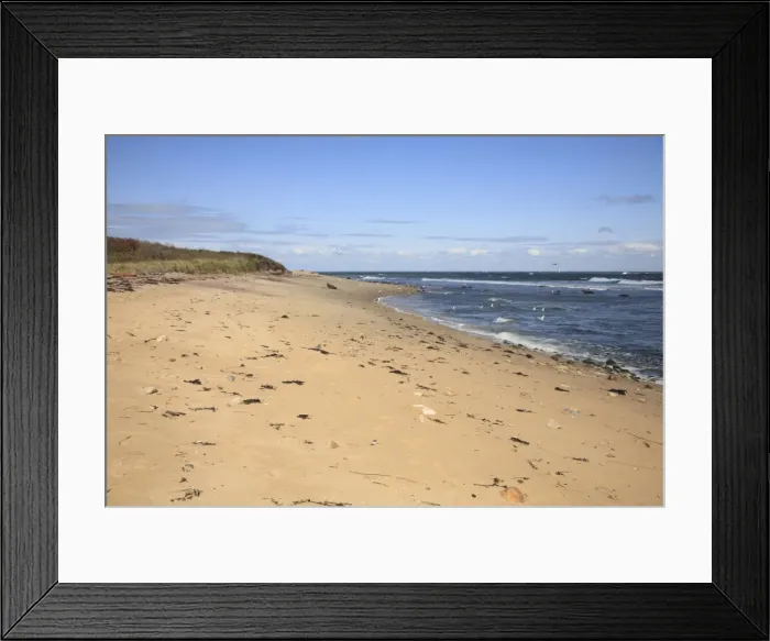 Framed Print : Montauk Point State Park, Montauk, Long Island, New York, United States of America Framed Print : Montauk Point State Park, Montauk, Long Island, New York, United States of America