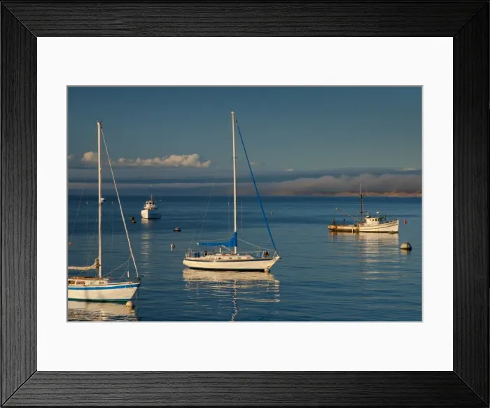 Framed Print : Monterey, California, United States of America, North America Framed Print : Monterey, California, United States of America, North America
