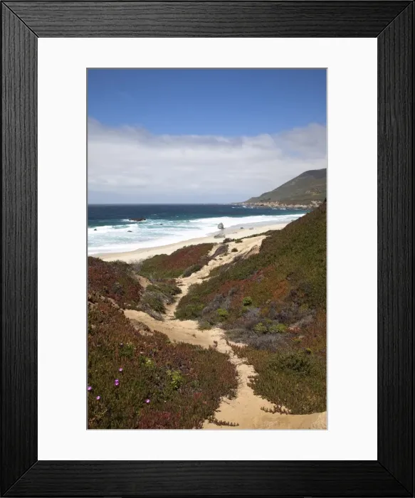 Framed Print : Beach at Julia Pfeiffer Burns State Park, near Big Sur, California, United States of America Framed Print : Beach at Julia Pfeiffer Burns State Park, near Big Sur, California, United States of America