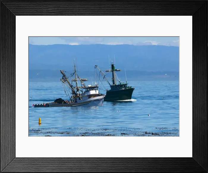 Framed Print : Monterey, California, United States of America, North America Framed Print : Monterey, California, United States of America, North America