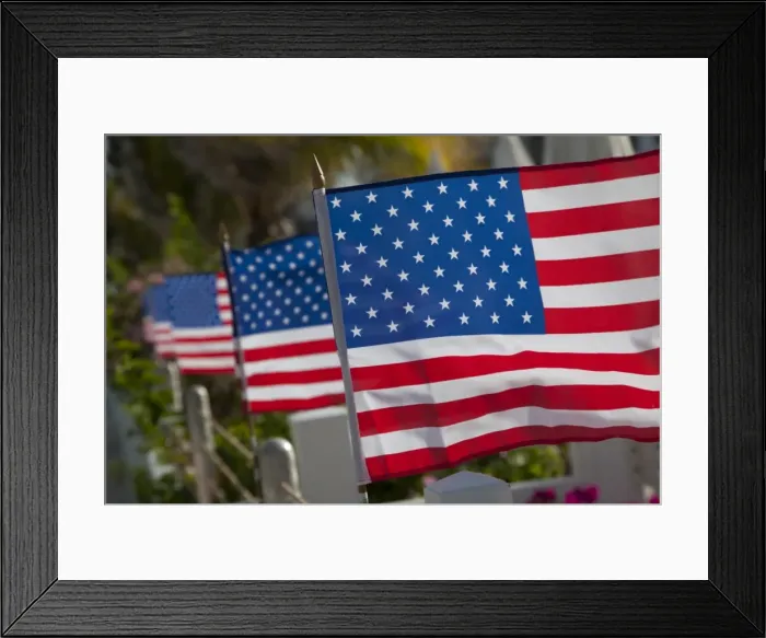 Framed Print : US flags attached to a fence in Key West, Florida, United States of America Framed Print : US flags attached to a fence in Key West, Florida, United States of America