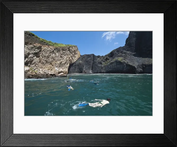 Framed Print : Snorkeling at Vincente Roca Point on Isla Isabela (Isabela Island), Galapagos Islands Framed Print : Snorkeling at Vincente Roca Point on Isla Isabela (Isabela Island), Galapagos Islands