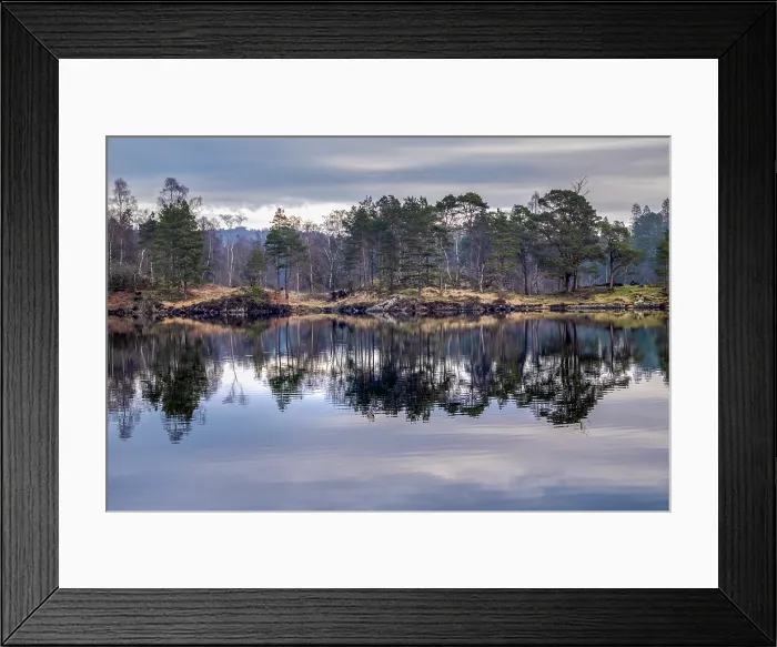 Framed Print : Reflection of winter trees in the still water of Tarn Hows, Lake District National Park, United Kingdom Framed Print : Reflection of winter trees in the still water of Tarn Hows, Lake District National Park, United Kingdom