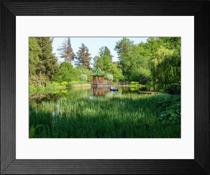 Framed Print : Lake and pavilion in the exotic Himalayan Gardens and Sculpture Park, Yorkshire, United Kingdom Framed Print : Lake and pavilion in the exotic Himalayan Gardens and Sculpture Park, Yorkshire, United Kingdom