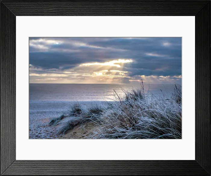 Framed Print : Early morning winter light on frosty sand dunes in Southwold in the county of Suffolk, United Kingdom Framed Print : Early morning winter light on frosty sand dunes in Southwold in the county of Suffolk, United Kingdom