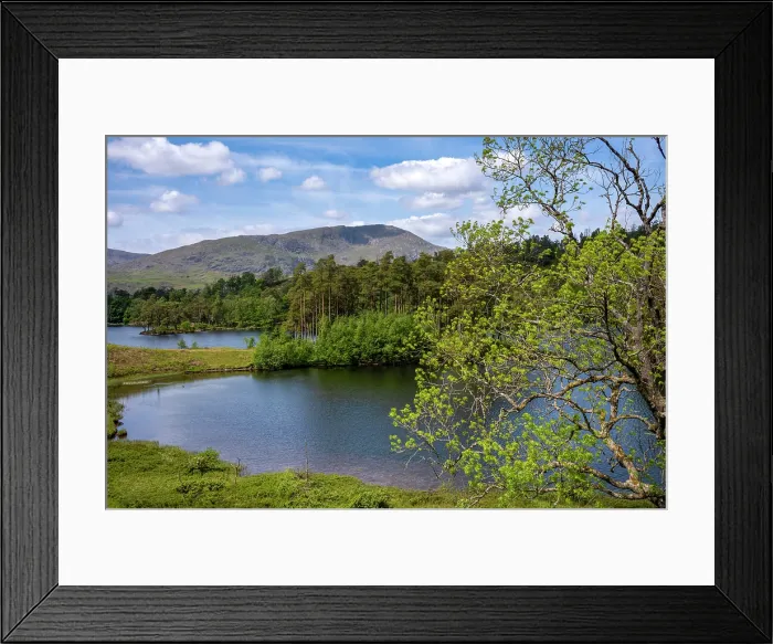 Framed Print : Tarn Hows Lake, Lake District National Park, United Kingdom