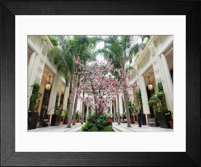 Framed Print : Courtyard of the Hotel de Paris, one of the world's most exclusive hotels, Monte Carlo, Monaco Framed Print : Courtyard of the Hotel de Paris, one of the world's most exclusive hotels, Monte Carlo, Monaco