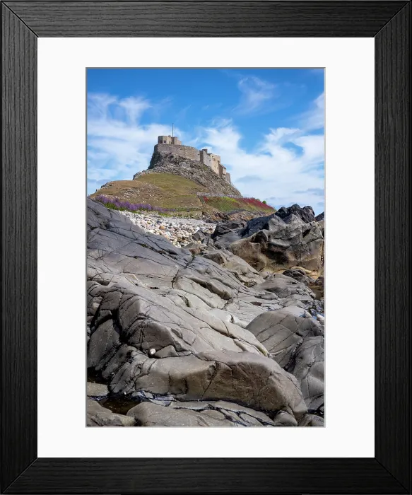 Framed Print : Looking up to the 16th century Lindisfarne Castle on a hillock overlooking the island of Lindisfarne, United Kingdom Framed Print : Looking up to the 16th century Lindisfarne Castle on a hillock overlooking the island of Lindisfarne, United Kingdom