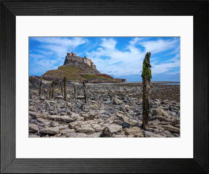 Framed Print : Eroded mooring posts with the 16th century Lindisfarne Castle on a hillock overlooking the island of Lindisfarne, United Kingdom