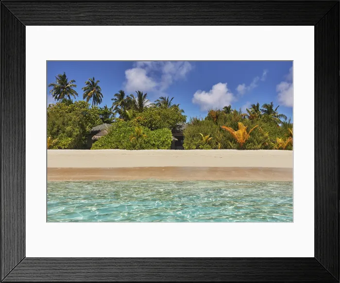 Framed Print : Pristine shallow waters lap against the white coral sand of a tropical beach; Havodda Island, Gaafu Dhaalu atoll, Maldives Framed Print : Pristine shallow waters lap against the white coral sand of a tropical beach; Havodda Island, Gaafu Dhaalu atoll, Maldives